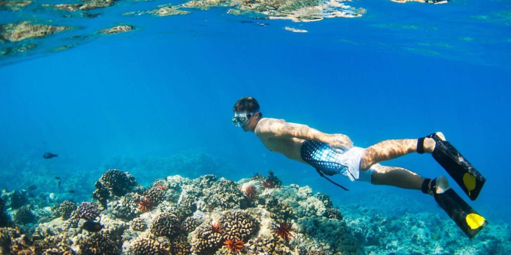 Best Maui Kayaking Tours